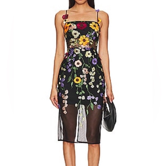 BCBGMaxAzria Dresses & Skirts - BCBGMaxAzria Black Mesh Dress w. Multicolor Floral Embroidery - W Size 10 - NWT.